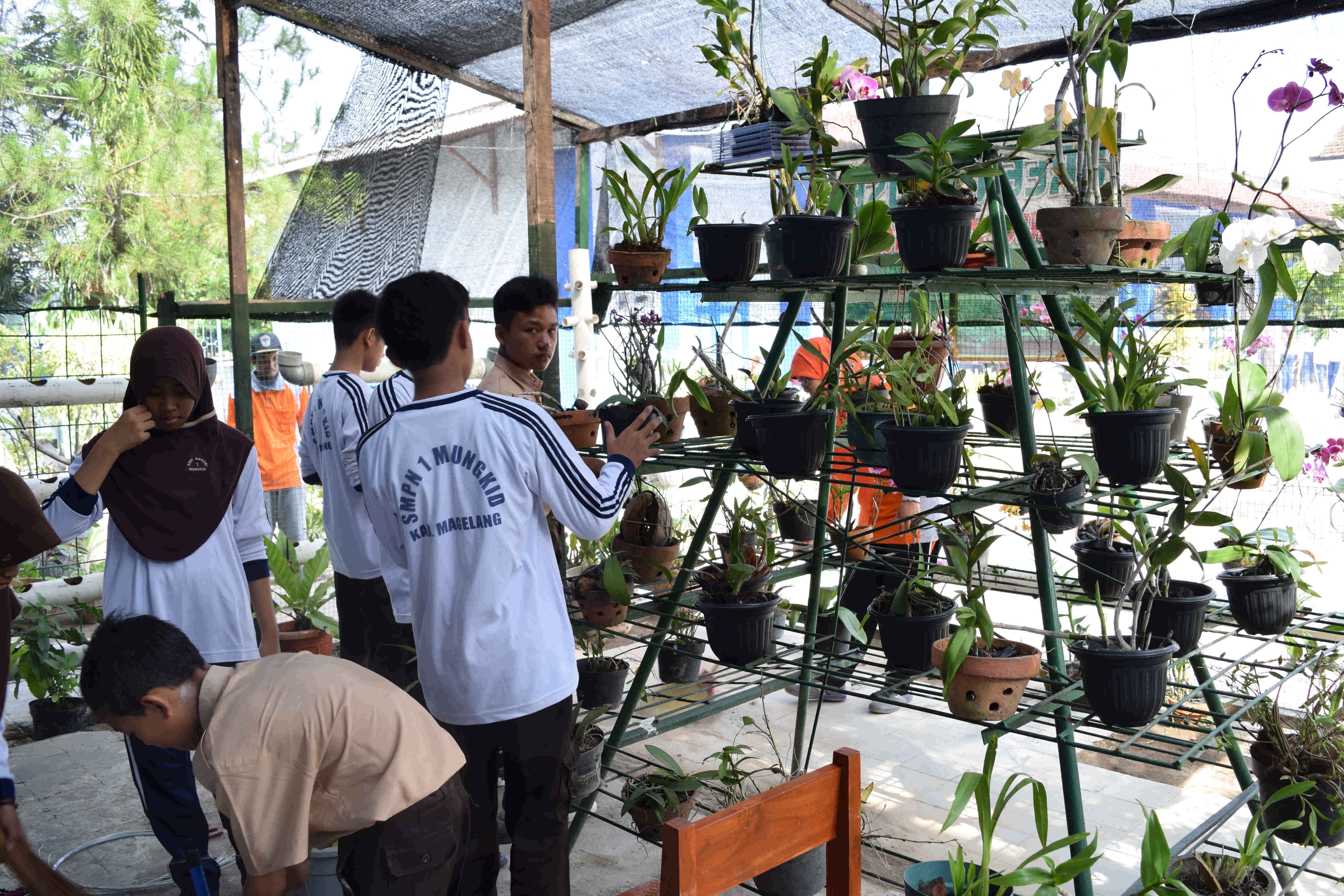 BERKEBUN
